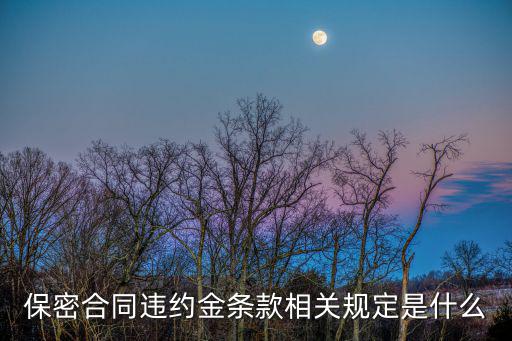 保密協(xié)議違約金標準，保密合同違約金條款相關規(guī)定是什么