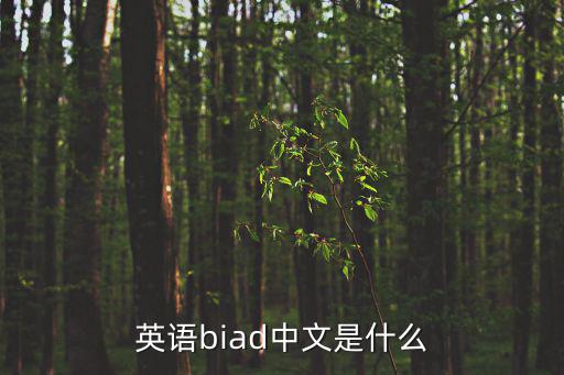英語biad中文是什么