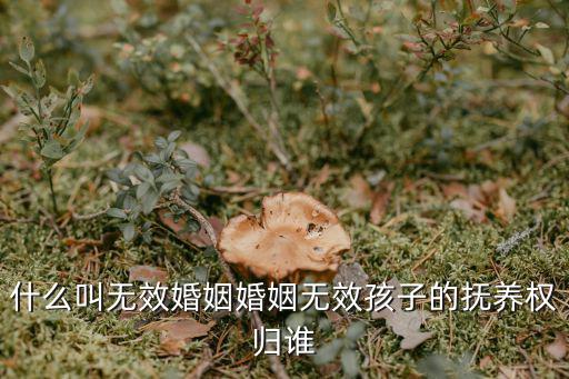 民法典婚姻無效的，什么叫無效婚姻婚姻無效孩子的撫養(yǎng)權(quán)歸誰