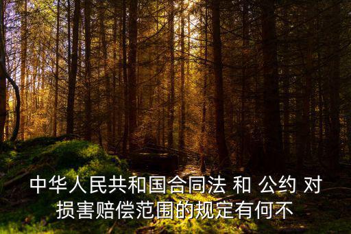 中華人民共和國(guó)合同法 和 公約 對(duì)損害賠償范圍的規(guī)定有何不