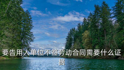 要告用人單位不簽勞動(dòng)合同需要什么證據(jù)