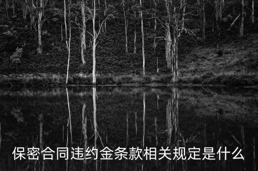 保密協(xié)議違約金賠償標準，我想請問保密協(xié)議的補償標準是什么