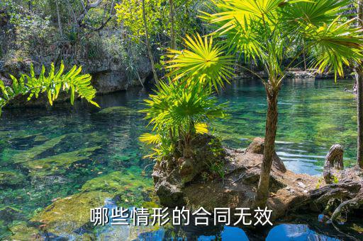 合同的無效情形有哪些，什么樣的合同屬于無效合同