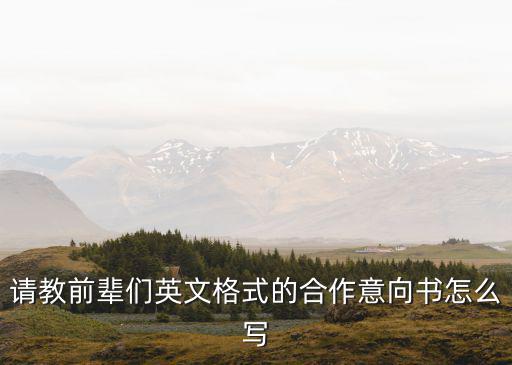 請(qǐng)教前輩們英文格式的合作意向書(shū)怎么寫(xiě)