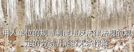 用人單位的規(guī)章制度違反法律，用人單位的規(guī)章制度違反法律法規(guī)的規(guī)定損害勞動者權(quán)益 應(yīng)該得到