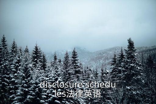 disclosure schedules法律英語(yǔ)