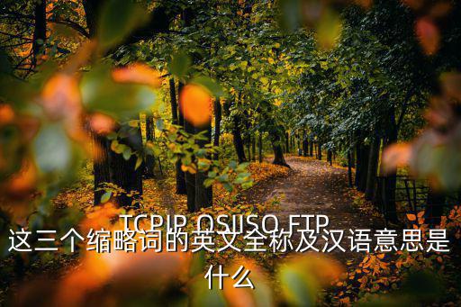 TCPIP OSIISO FTP 這三個(gè)縮略詞的英文全稱及漢語(yǔ)意思是什么