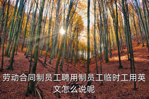 聘用合同英語，外教聘用協(xié)議 英文怎么說