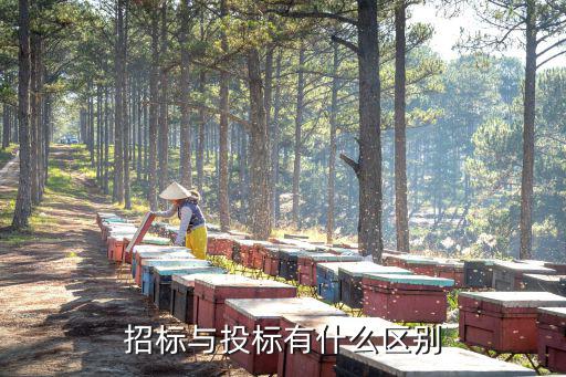 招標(biāo)與投標(biāo)有什么區(qū)別