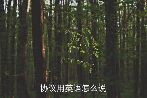 協(xié)議用單詞怎么說，協(xié)議單位用英語怎么說