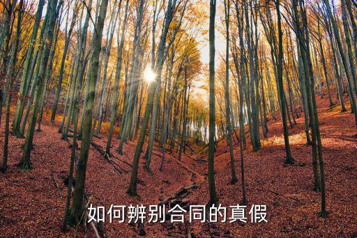 如何辨別合同的真假