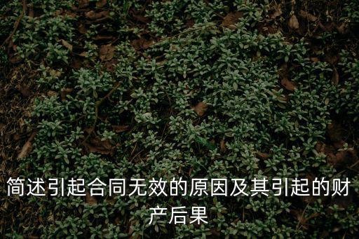 簡(jiǎn)述引起合同無(wú)效的原因及其引起的財(cái)產(chǎn)后果