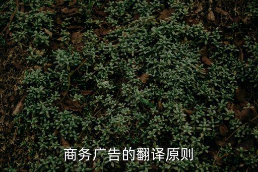 商務(wù)廣告的翻譯原則