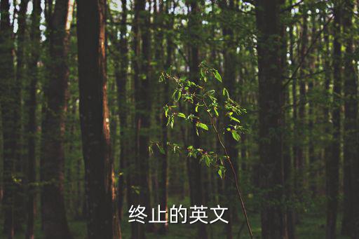 終止合同英文怎么說，終止的英文