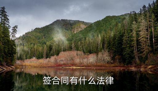 簽合同有什么法律