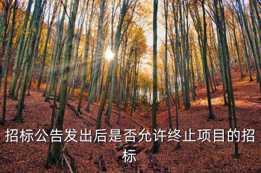 公開招標(biāo)能否暫?；蚪K止，招標(biāo)資格預(yù)審?fù)炅讼虢K止開標(biāo)可以嗎