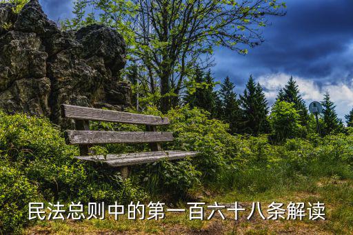 民法總則中的第一百六十八條解讀