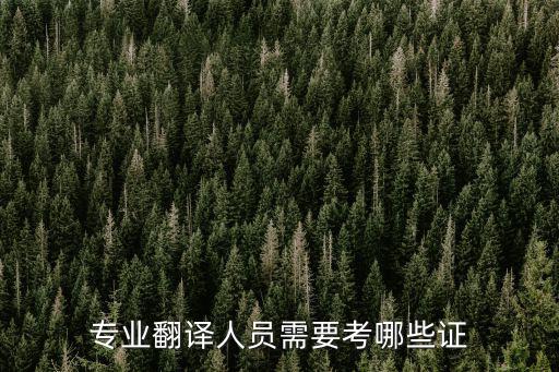 專業(yè)翻譯人員需要考哪些證