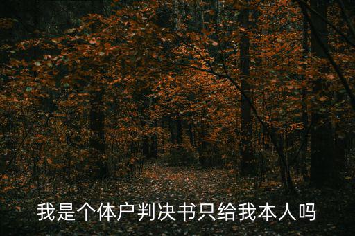 我是個體戶判決書只給我本人嗎