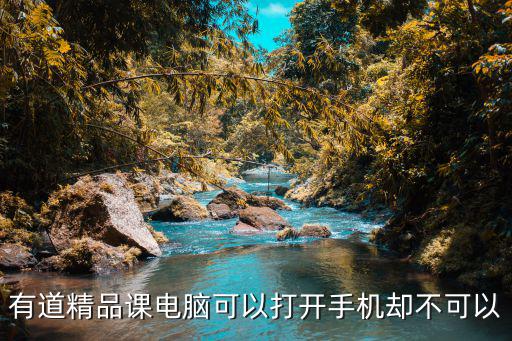 有道精品課網(wǎng)課官網(wǎng)，有道精品課資源