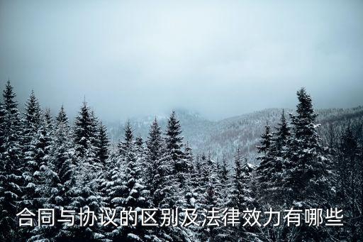 合同與協(xié)議的區(qū)別及法律效力有哪些