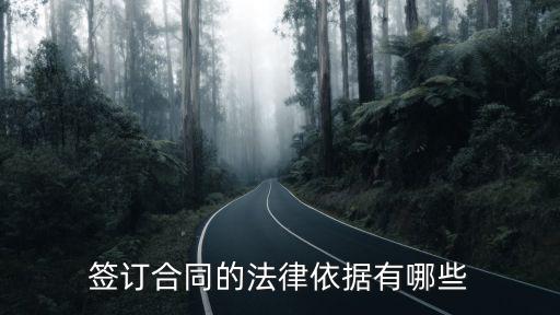 合同簽訂依據(jù)，對于簽訂合同的當事人應該具備什么標準在法律上有沒有明確的規(guī)定