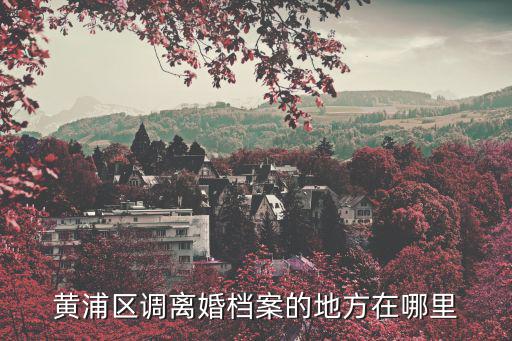 黃浦區(qū)調(diào)離婚檔案的地方在哪里