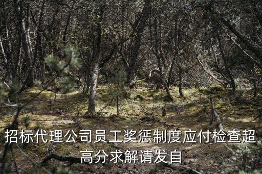 招標代理公司員工獎懲制度應付檢查超高分求解請發(fā)自