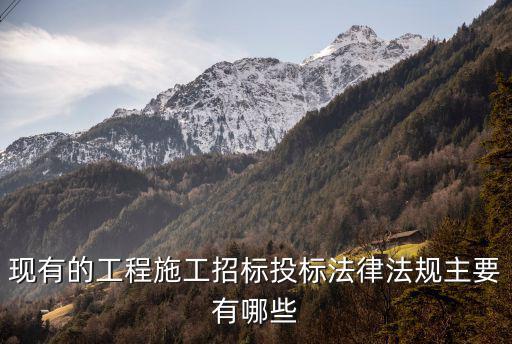 現(xiàn)有的工程施工招標(biāo)投標(biāo)法律法規(guī)主要有哪些