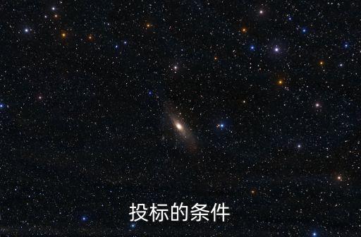 公司投標(biāo)需要哪些條件，投標(biāo)的條件