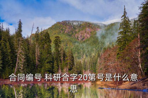 合同編號(hào) 科研合字20第號(hào)是什么意思