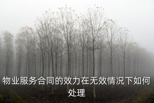 確認(rèn)物業(yè)合同無(wú)效案例，2年前收到判決書(shū)判決書(shū)說(shuō)房屋買(mǎi)賣(mài)合同無(wú)效但是被告和物業(yè)怯沒(méi)