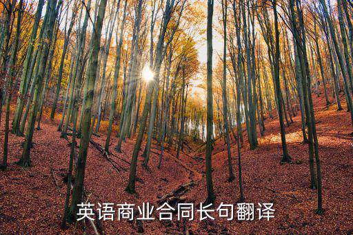 商業(yè)合同 英文，商務(wù)合同中的Attention是甚么