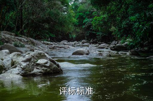 評標標準