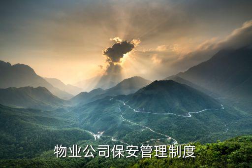 物業(yè)公司保安管理制度