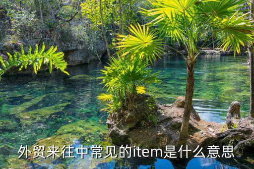 物品項目的英文，ltem 英文念什么