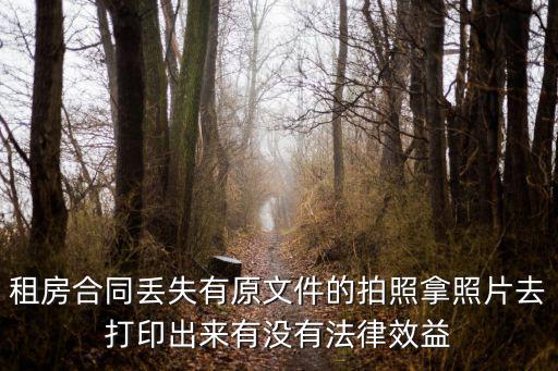 租房合同丟失有原文件的拍照拿照片去打印出來有沒有法律效益