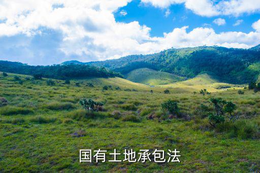 承包法律規(guī)定，根據(jù)工程承包相關(guān)法律規(guī)定建筑業(yè)企業(yè) 承攬工程 A可以超越本