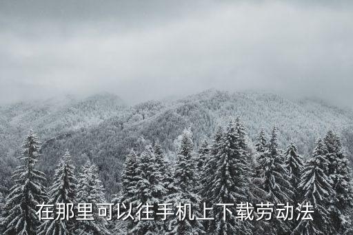 在那里可以往手機(jī)上下載勞動法