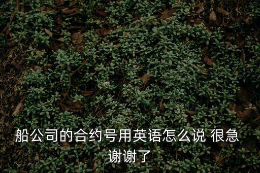 合同號英文簡寫，船公司的合約號用英語怎么說 很急 謝謝了