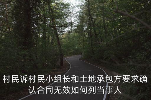 村民訴村民小組長和土地承包方要求確認合同無效如何列當事人
