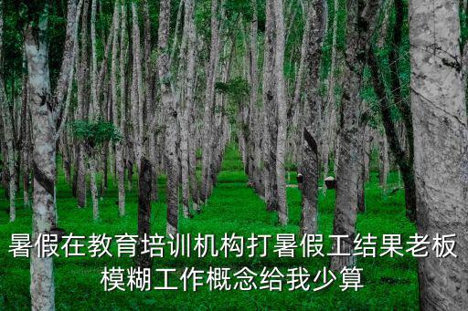 暑假在教育培訓機構(gòu)打暑假工結(jié)果老板模糊工作概念給我少算
