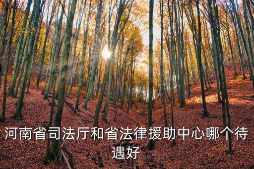 河南省司法廳和省法律援助中心哪個(gè)待遇好