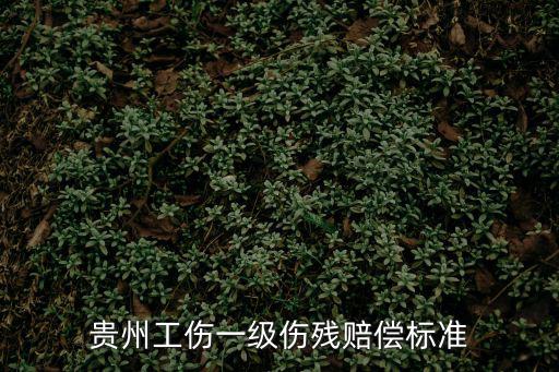 貴州工傷一級(jí)傷殘賠償標(biāo)準(zhǔn)
