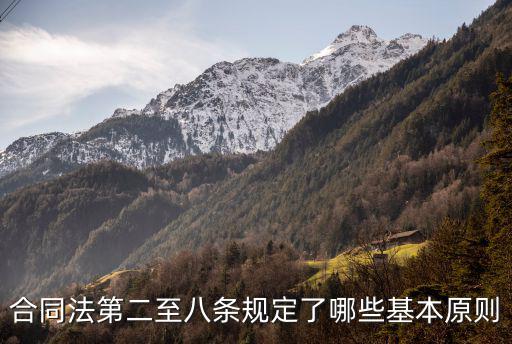 合同法第八條民法典第幾條，合同法第二至八條規(guī)定了哪些基本原則