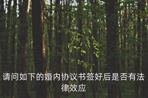 請問如下的婚內(nèi)協(xié)議書簽好后是否有法律效應(yīng)