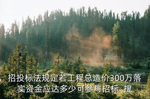 招標(biāo)法22條規(guī)定，招投標(biāo)法規(guī)定若工程總造價300萬落實(shí)資金應(yīng)達(dá)多少可參與招標(biāo)  搜