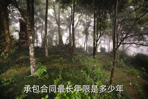 承包合同最長年限是多少年