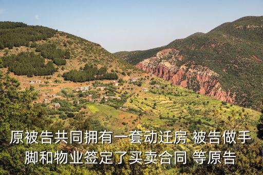 原被告共同擁有一套動遷房 被告做手腳和物業(yè)簽定了買賣合同 等原告