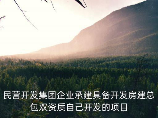 民營企業(yè)可以不走招投標(biāo)嗎，私企投資企業(yè)自有資金需要走招標(biāo)手續(xù)么